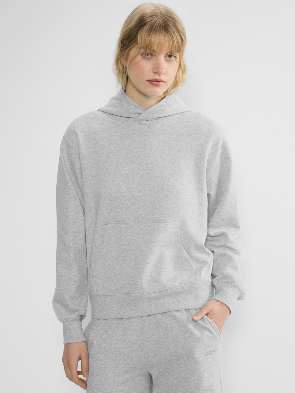 Light Grey TNA Aritzia Terry Sweatfleece Perfect Hoodie